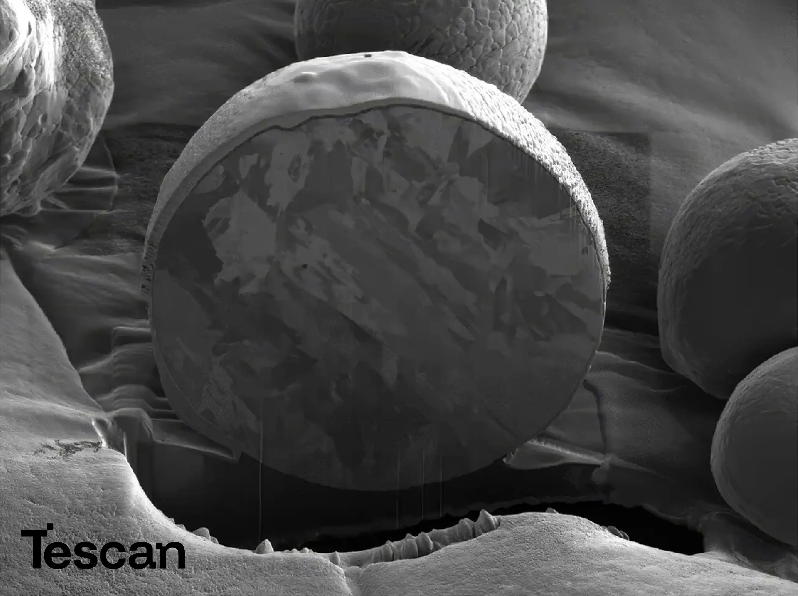 Tescan FIB-SEM for Material Science